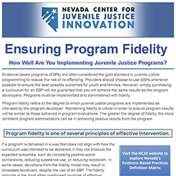 Ensuring Program Fidelity: How Well Are You Implementing Juvenile Justice Programs?