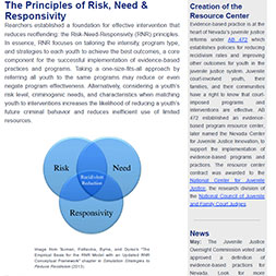 The Principles of Risk, Need & Responsivity